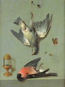 Nature morte avec oiseaux et insectes, 1713